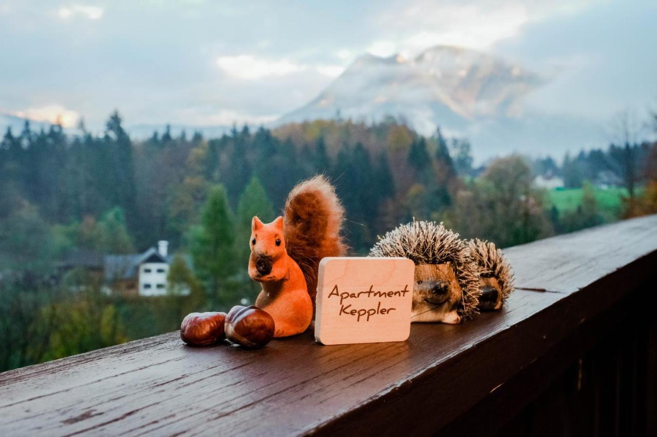 Apartment Keppler Bad Goisern Buitenkant foto